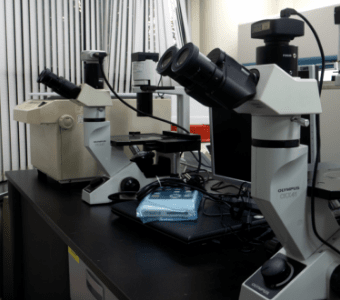 Lab
