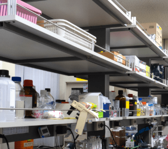 Lab