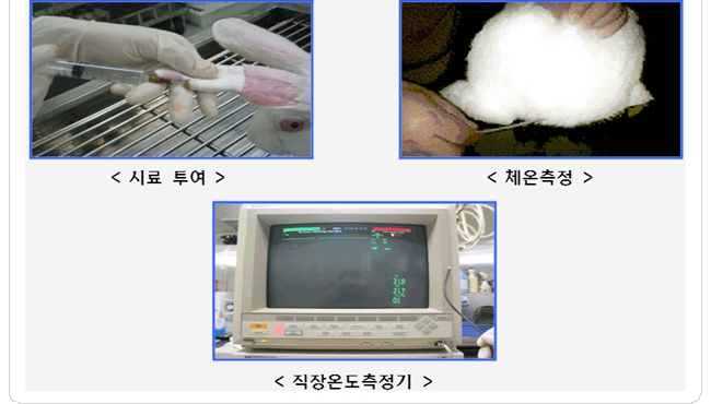 발열성 시험 - 시료 투여, 체온측정, 직장온도측정기