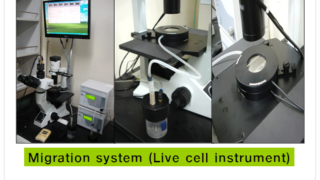 Migration system (Live cell instrument)