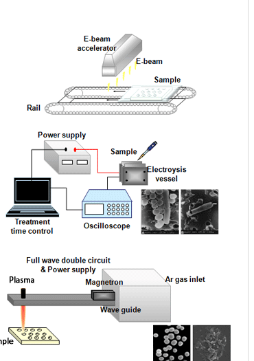 E-beam, 전기멸균, microwave argon plasma 멸균 시스템 도식