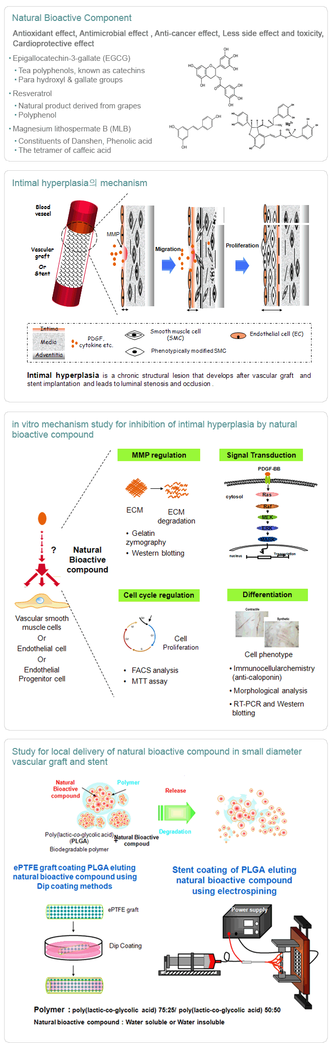 천연유래 생리활성물질과 intimal hyperplasia 억제 기전 및 국소 전달 연구