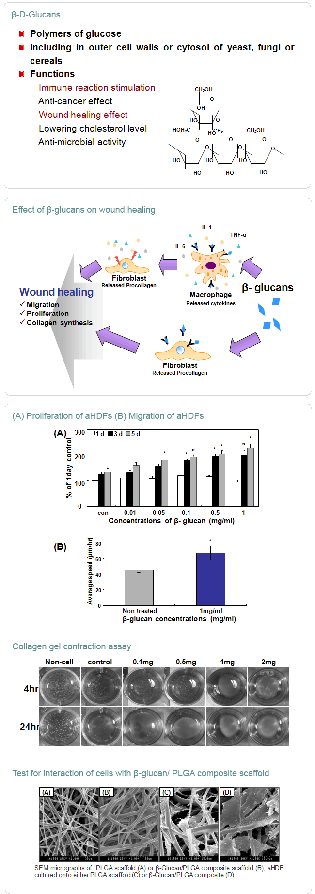β-glucan의 상처 치유 효과 및 인공피부 적용 연구
