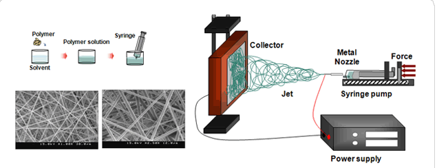 Electrospinning 장치 및 nanofiber SEM 이미지